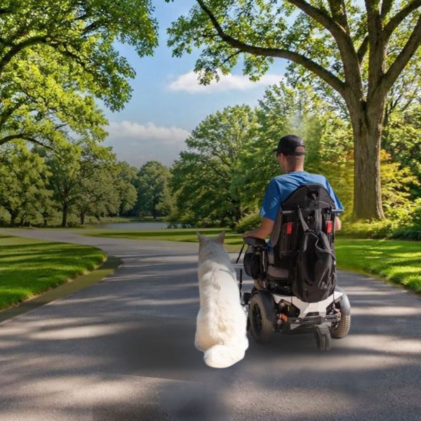 Man in a power wheelchair with his white dog on a sunny park path lined with trees