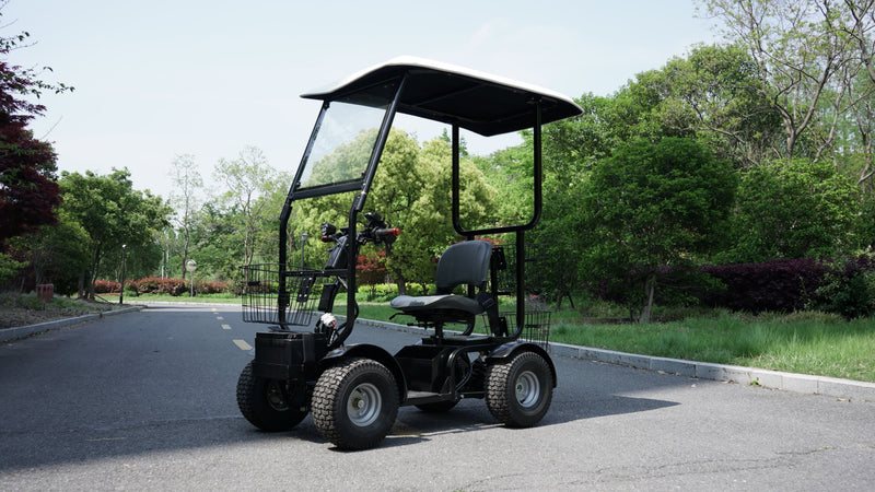 Cheeta Ninja Canopy - on path